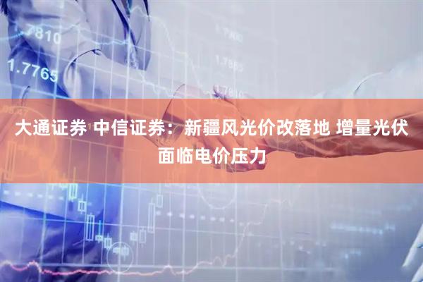 大通证券 中信证券：新疆风光价改落地 增量光伏面临电价压力