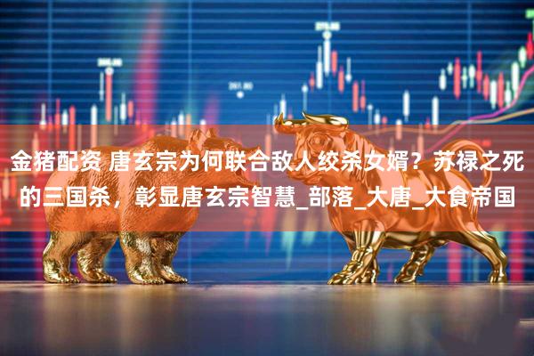 金猪配资 唐玄宗为何联合敌人绞杀女婿？苏禄之死的三国杀，彰显唐玄宗智慧_部落_大唐_大食帝国
